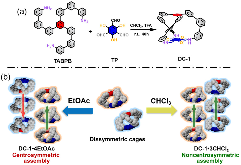 Guest Mediated Hierarchical Self Assembly Of Dissymmetric Organic Cages