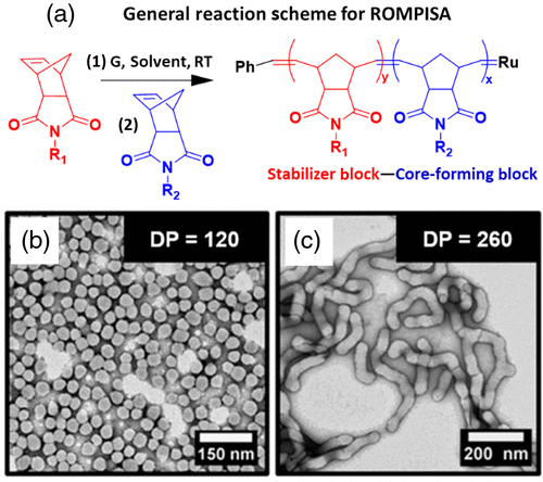 Principles And Characteristics Of Polymerization-Induced Self-Assembly ...