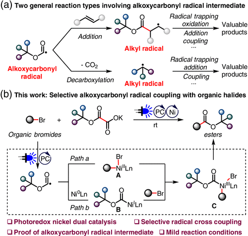 Photoredox Ni Catalyzed Selective Coupling Of Organic Halides And