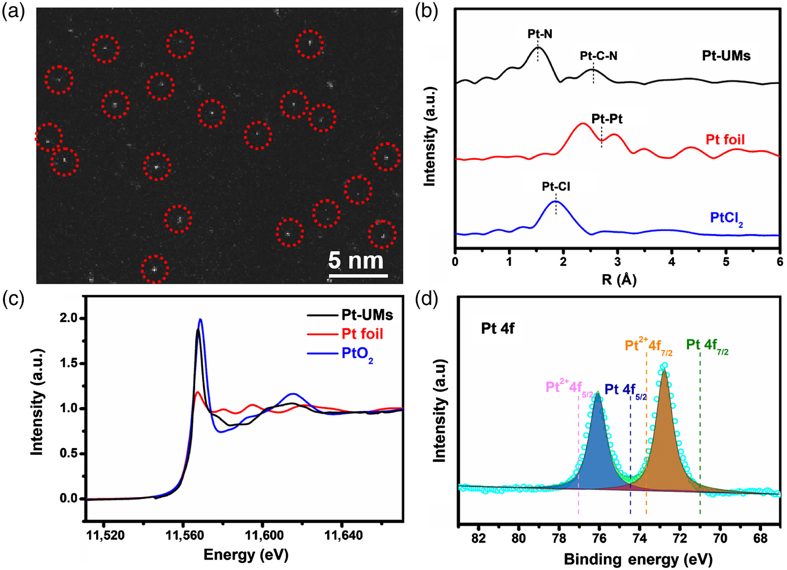 Single-Metal-Atom Polymeric Unimolecular Micelles for Switchable ...