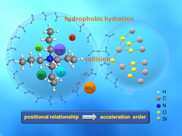 Anionic Tuning of Zeolite Crystallization | CCS Chemistry