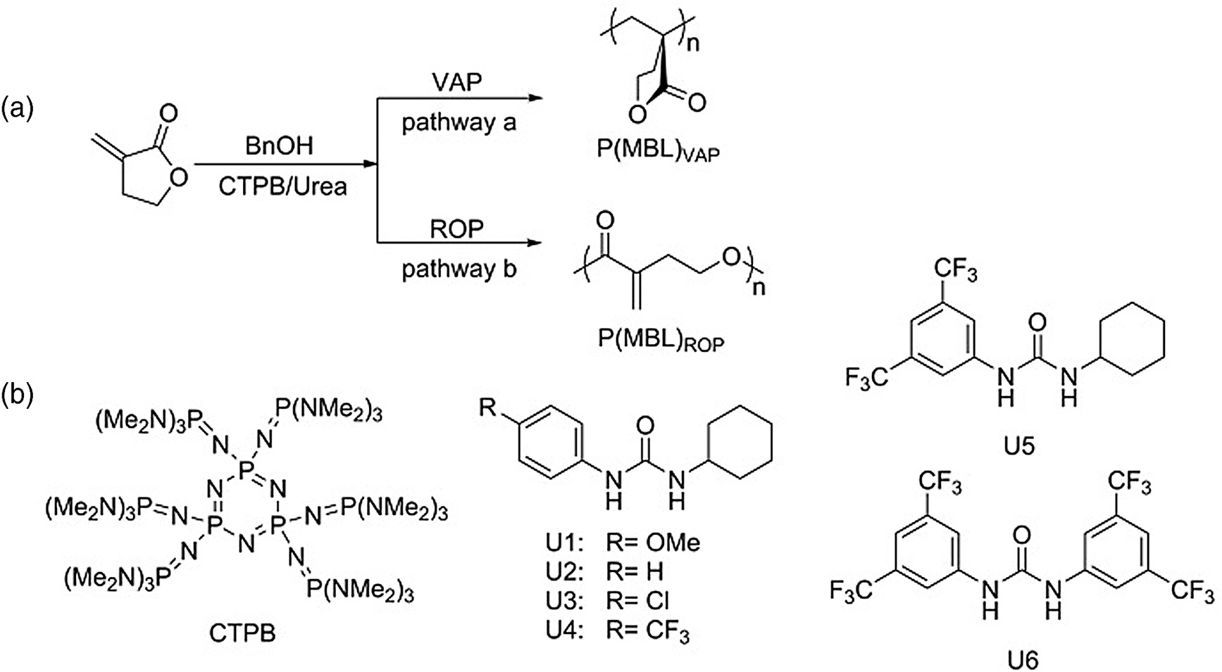 Chemoselective Polymerization Of Fully Biorenewable α-Methylene-γ ...