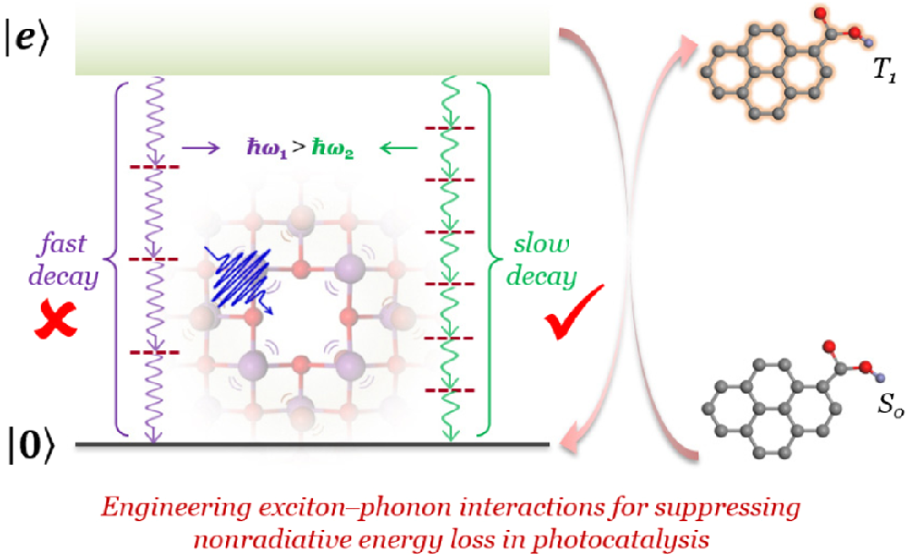 engineering-exciton-phonon-interactions-for-suppressing-nonradiative