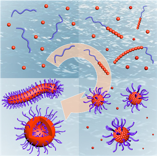 Principles And Characteristics Of Polymerization-Induced Self-Assembly ...